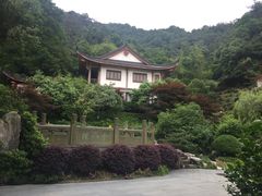 -十八棵（老龙井）御茶园(老龙井店)