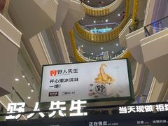 -野人先生Gelato(上海长宁龙之梦店)