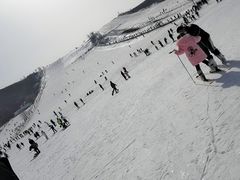 -蓟县盘山滑雪场