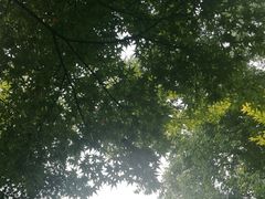 -无锡惠山寺