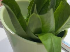 -曲氏老北京铜锅涮肉•火锅(不老街店)