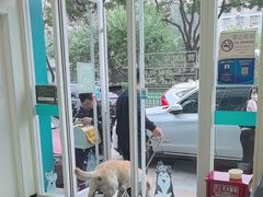-美联众合动物医院·24h京西诊疗中心