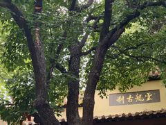 -云龙山