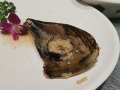 -蚝得喜海鲜(东城店)