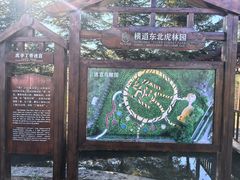 -横道河子东北虎林园
