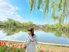 -石家庄市植物园