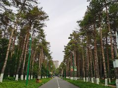 -黑龙江省森林植物园