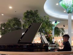 -柏斯音乐艺术中心·钢琴·吉他(世纪金源店)