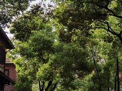 -飞马旅黎黄陂路文旅街区