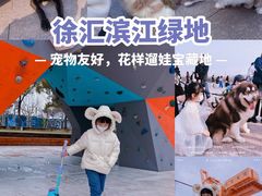 -春花秋色城市公园