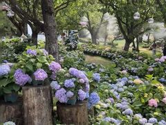 -名花谷生态庄园