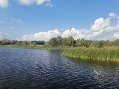 -溱湖国家湿地公园