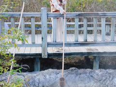 -天芳悦潭度假村温泉