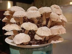 活体菌菇-捞王锅物料理(凯旋路店)