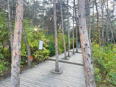 -帽儿山国家森林公园