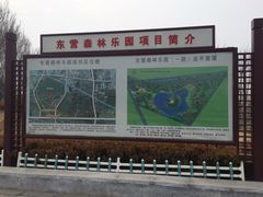 项目简介-东营·森林乐园