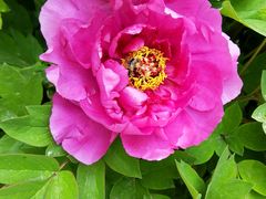 -石家庄市动物园