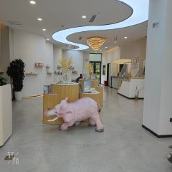 -采之汲·云南白药集团