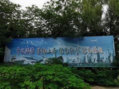 -盐城丹顶鹤湿地生态旅游区