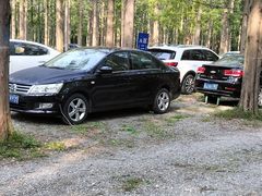 -黄海国家森林公园