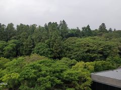 -雪绿茶博物馆