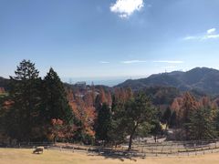 -神户市立六甲山牧场