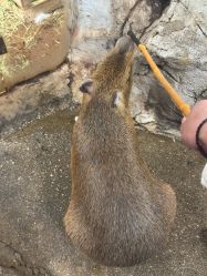 -Zoolung Zoolung动物主题公园(海信广场店)