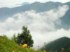 -小五台金河景区