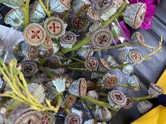 -三圣花乡旅游区