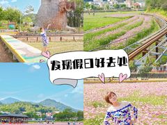 -红山村
