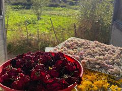 -泸沽湖国家级风景名胜区走婚桥