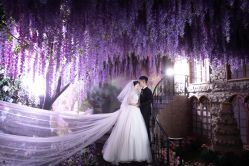 点击看大图 -维纳斯婚纱摄影(鞍山店)
