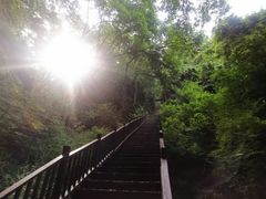 -天女山森林公园