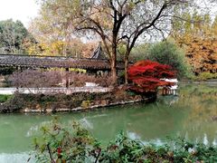 -上海醉白池公园