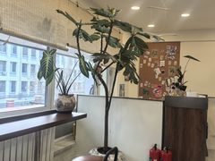 -阿九笨鸡蛋手擀面(总店)