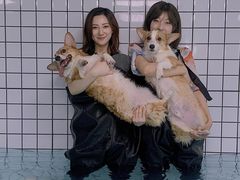 -柚子宠物(伊珊娜调理店)