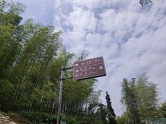 -蜀南竹海景区