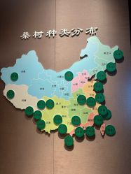 -太湖雪蚕桑文化园