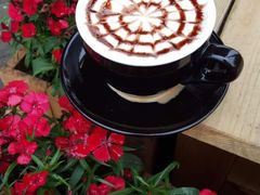 -森居forest休闲咖啡聚集地