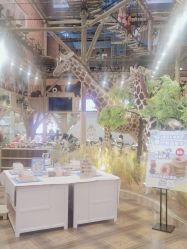 -卡通尼·Safari非洲探索乐园·生日会(金桥国际商业广场店)