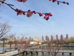 -白塘生态植物园