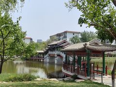 -西海子公园