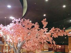 -大江户·温泉洗浴(浑南店)