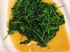 -新聚丰菜馆(太监弄店)