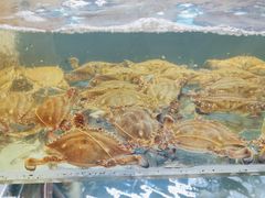 -阿马蛋汤·宁波小海鲜(总店)