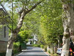 -莫干山风景区
