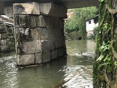 -羊楼洞