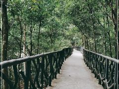 -龙湾潭国家森林公园