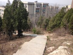 -水池山公园