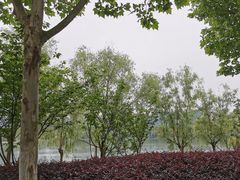 -天鹅湖体育公园